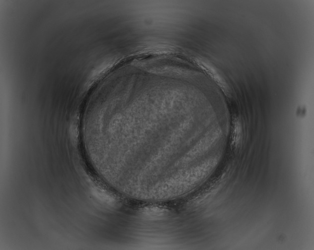X0000089920586200707131413