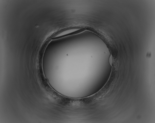 X0000089920587200707131413