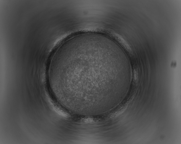 X0000089920588200707131412