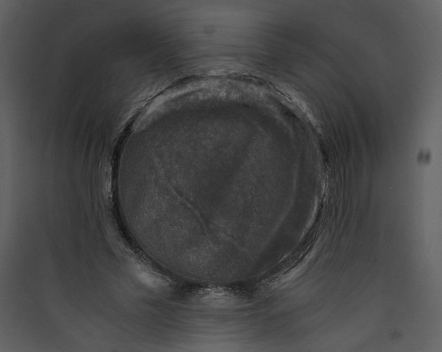 X0000089920589200707131412