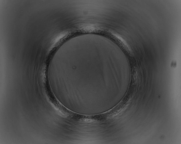X0000089920590200707131412