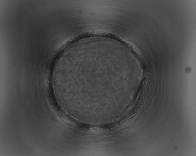 X0000089920591200707131412