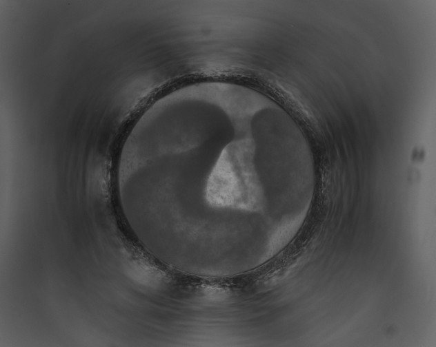 X0000089920592200707131412