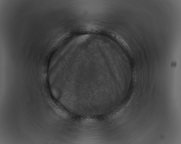X0000089920593200707131412