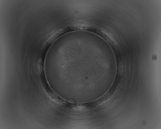 X0000089920594200707131412