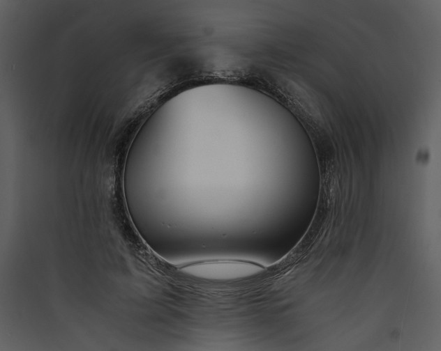 X0000089920595200707131412