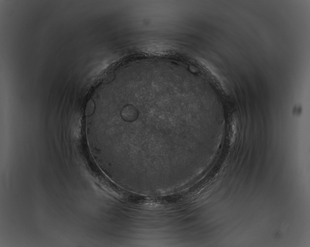 X0000089920596200707131412