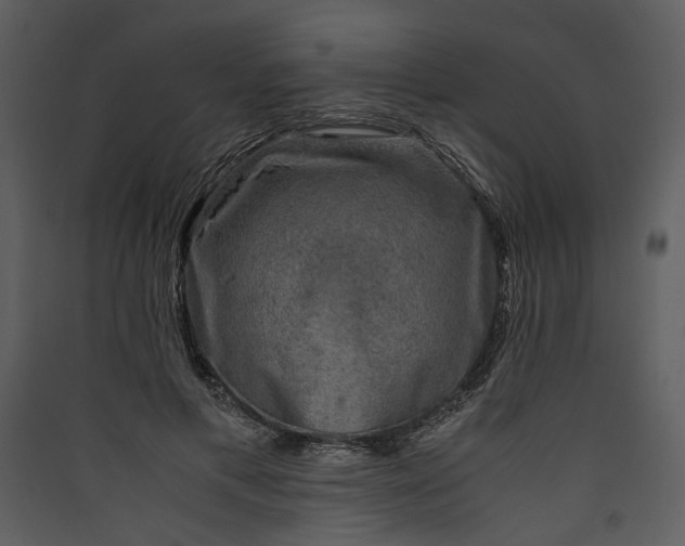 X0000089920597200707131412