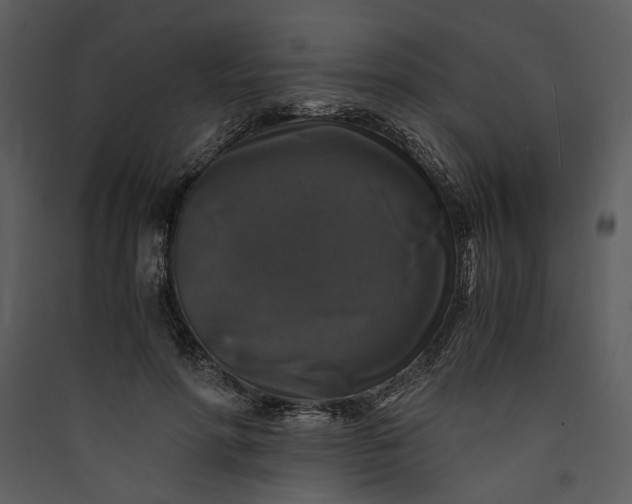 X0000089920598200707131412