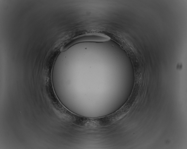 X0000089920599200707131412
