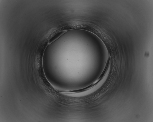 X0000089920600200707131412