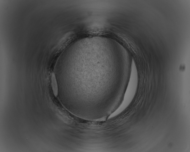X0000089920601200707131412