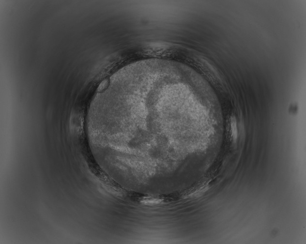 X0000089920602200707131412