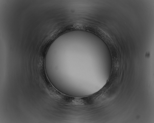 X0000089920603200707131412