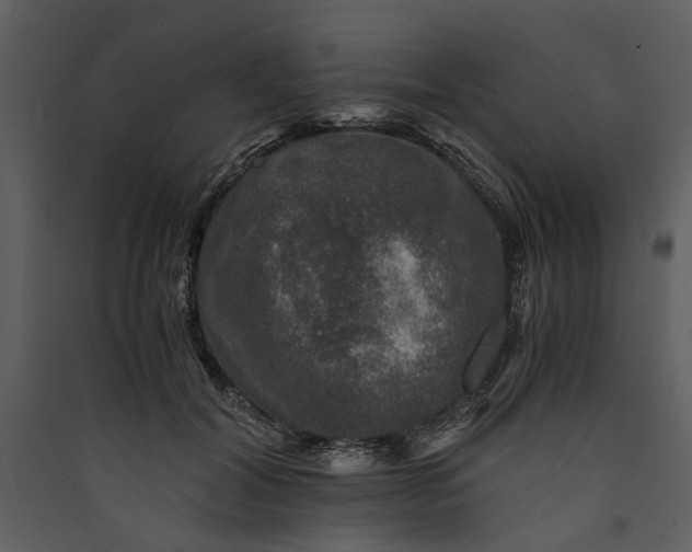 X0000089920604200707131412
