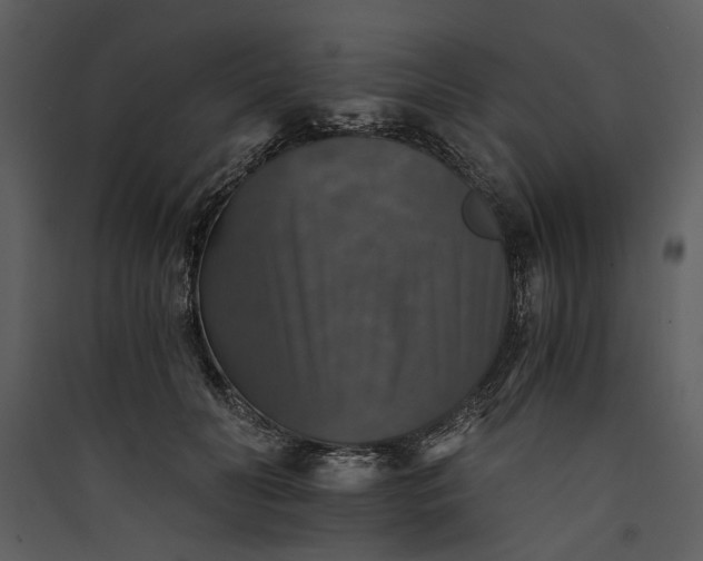 X0000089920606200707131412