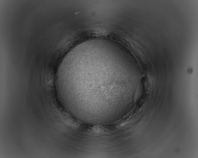 X0000089920608200707131412