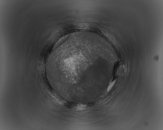 X0000089920609200707131412