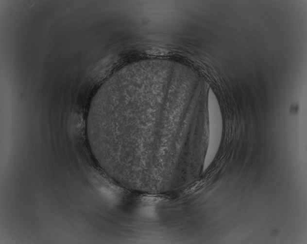 X0000089920614200707131412