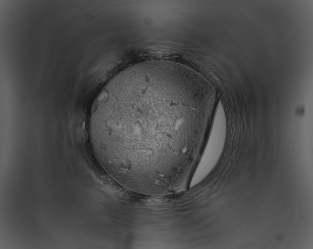 X0000089920615200707131412