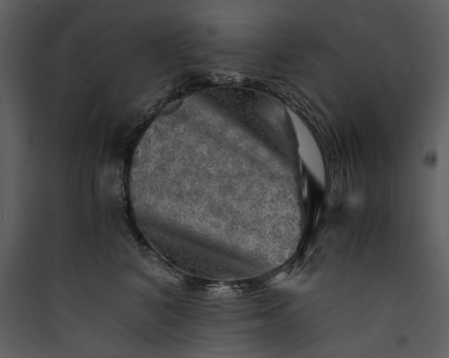 X0000089920616200707131412