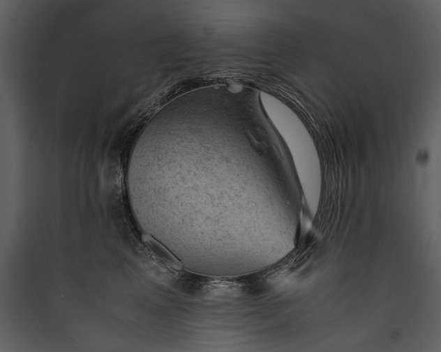 X0000089920617200707131412
