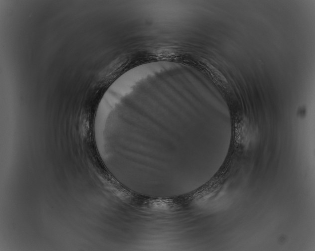 X0000089920618200707131412