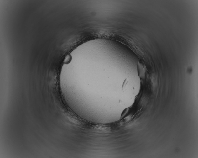 X0000089920619200707131412