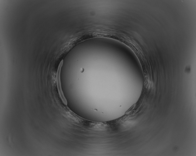 X0000089920621200707131412