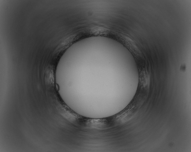 X0000089920622200707131412