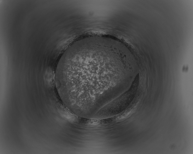 X0000089920624200707131412