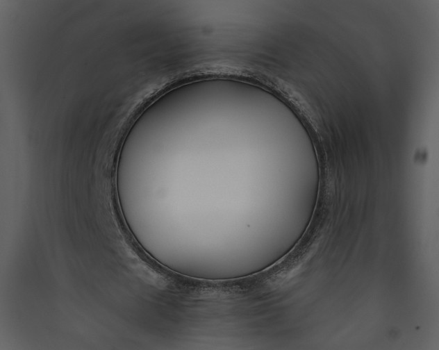 X0000089920625200707131411