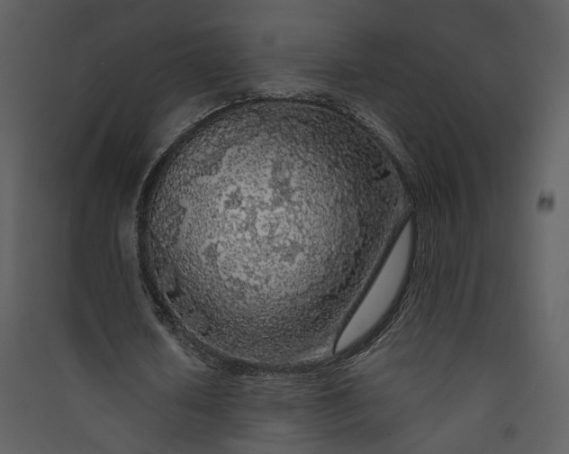 X0000089920626200707131411