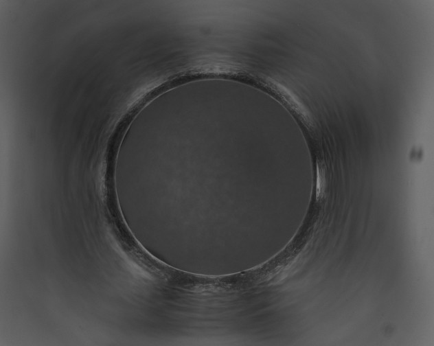 X0000089920627200707131411