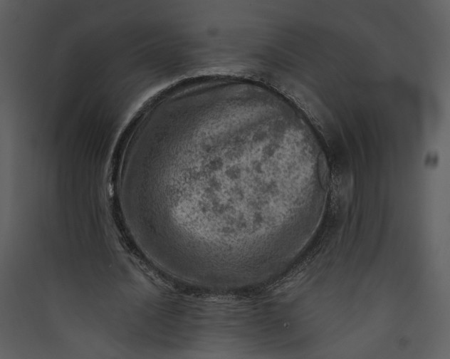 X0000089920628200707131411