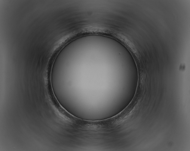 X0000089920629200707131411