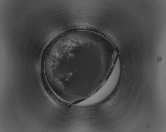 X0000089920630200707131412