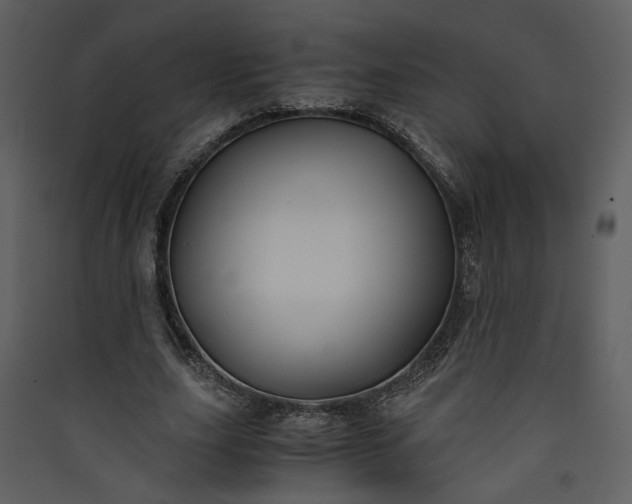 X0000089920631200707131412