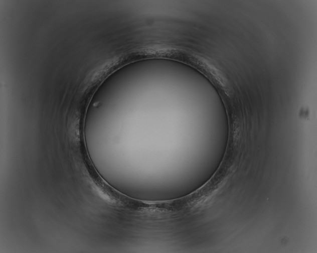 X0000089920633200707131412
