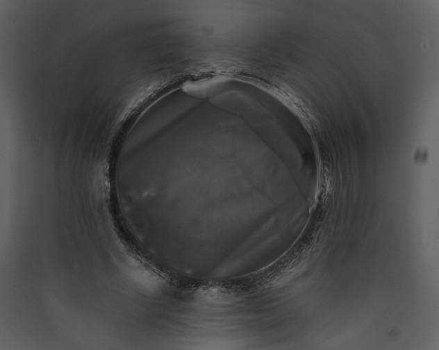 X0000089920634200707131412