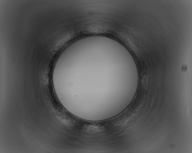 X0000089920635200707131412