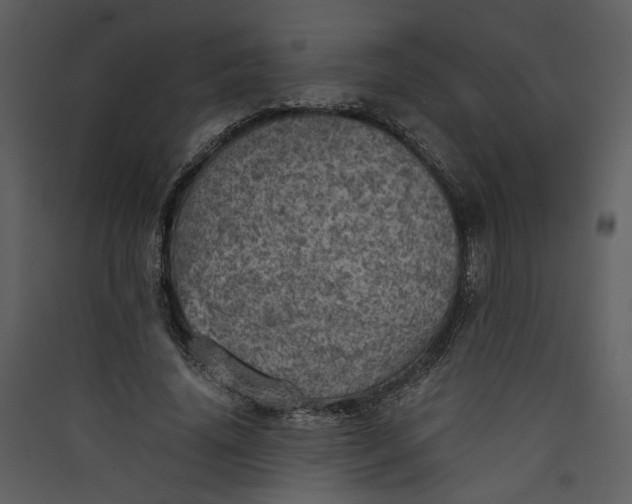 X0000089920636200707131412