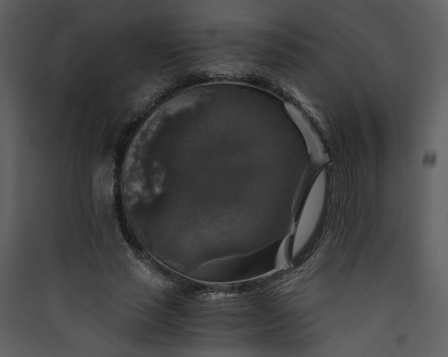 X0000089920637200707131412