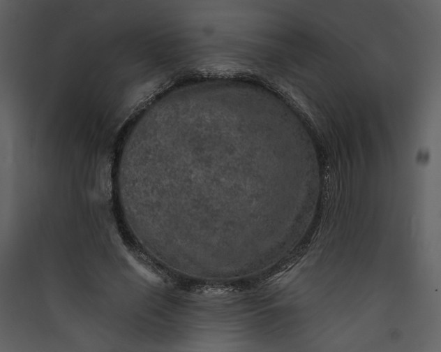 X0000089920638200707131412
