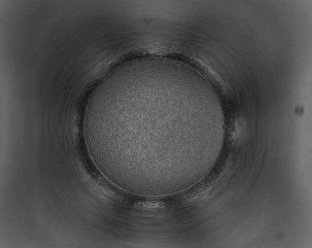 X0000089920639200707131412