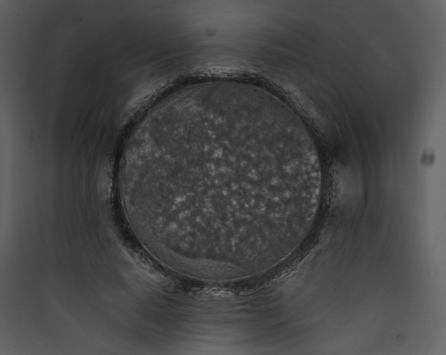 X0000089920640200707131412