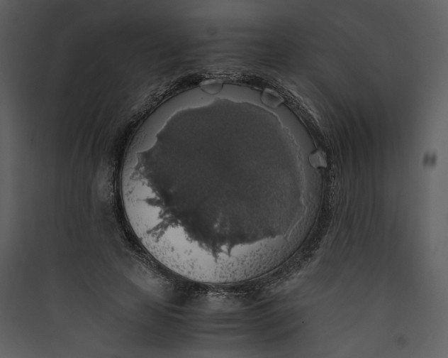 X0000089920641200707131412
