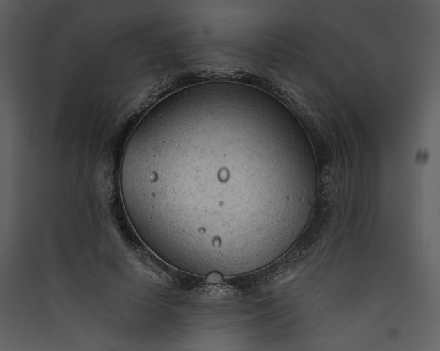 X0000089920642200707131412