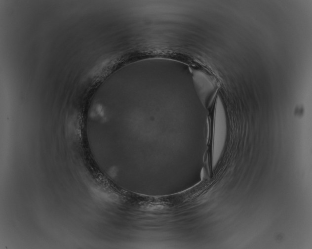 X0000089920643200707131412