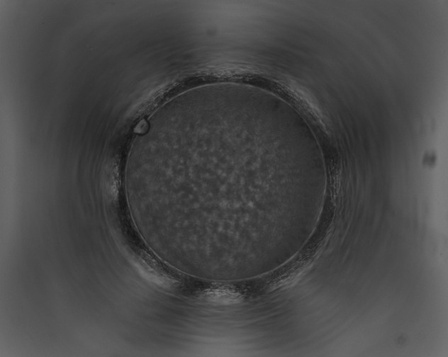 X0000089920644200707131412